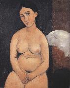 Amedeo Modigliani Seated Nude (mk39) Sweden oil painting artist